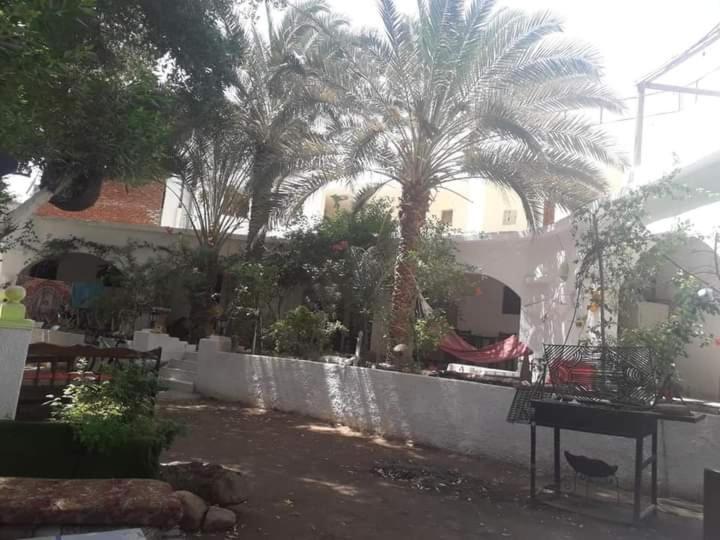 Fighting Kangaroo Camp Hotel Dahab Ngoại thất bức ảnh
