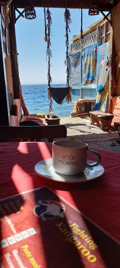 Fighting Kangaroo Camp Hotel Dahab Ngoại thất bức ảnh