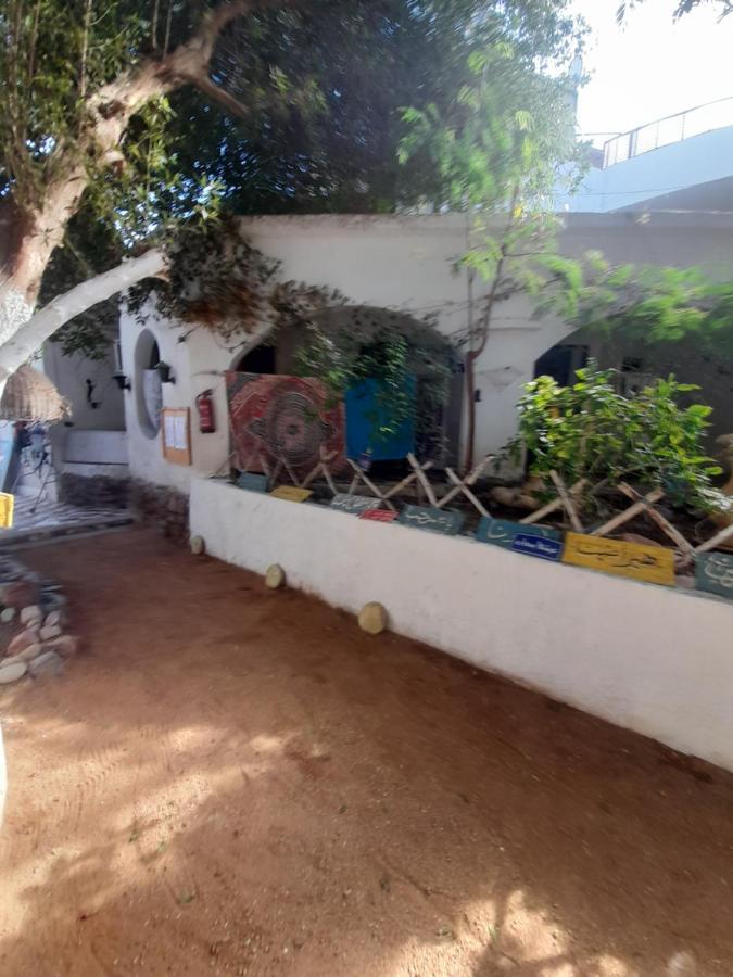 Fighting Kangaroo Camp Hotel Dahab Ngoại thất bức ảnh