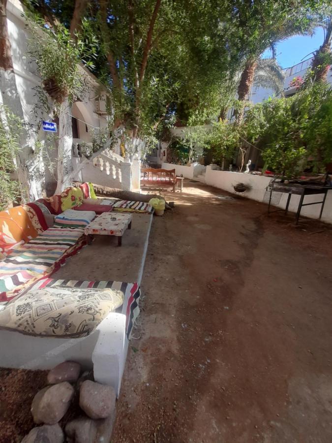 Fighting Kangaroo Camp Hotel Dahab Ngoại thất bức ảnh