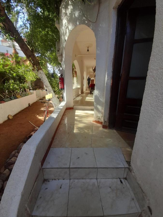 Fighting Kangaroo Camp Hotel Dahab Ngoại thất bức ảnh