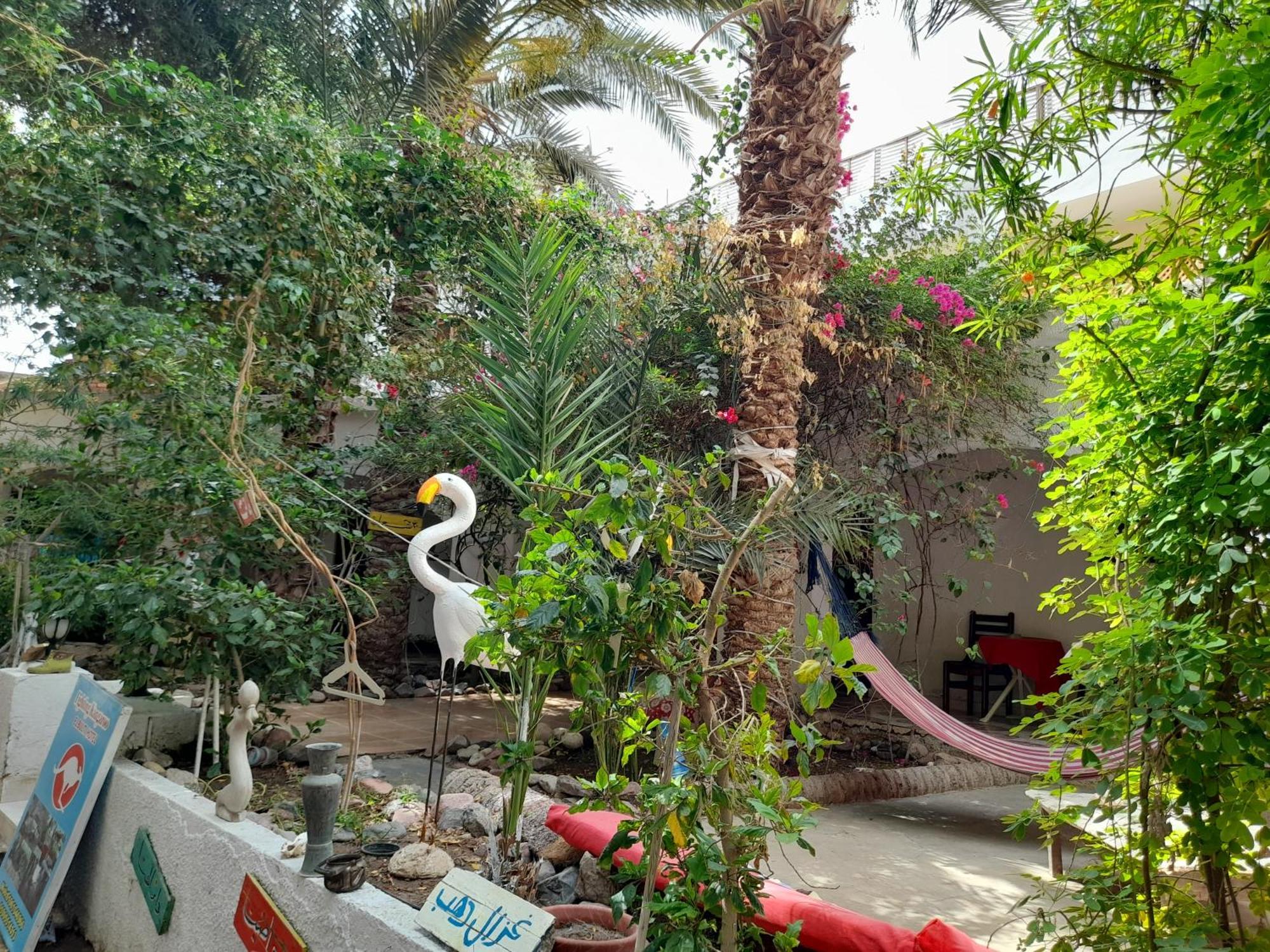 Fighting Kangaroo Camp Hotel Dahab Ngoại thất bức ảnh